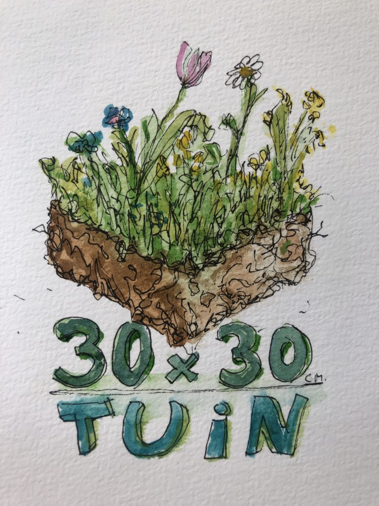 30×30 Tuin